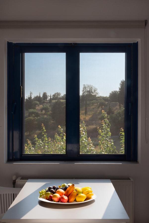 Villa Rodanthi Sivota Bagian luar foto